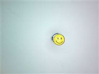 Stechend Studex in Stahl 7512-0604